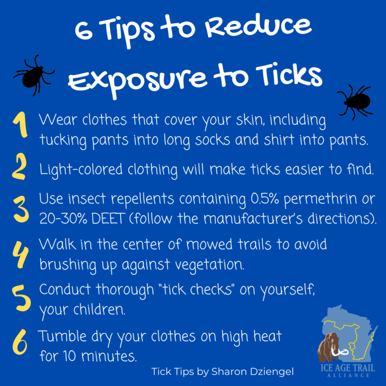 How To Prevent Tick Borne Illnesses Infographic Tick Tips By Sharon