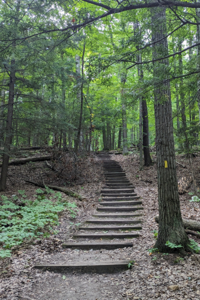 A before picture of the timber steps that were replaced by dolomite slabs. Photo by Patrick Gleissner.