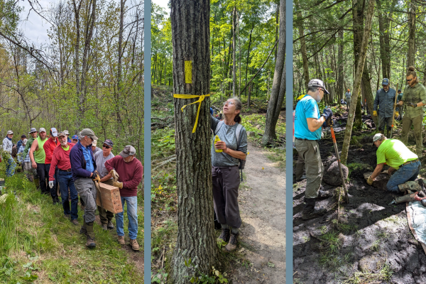 In 2024, 935 Ice Age Trail Crew volunteers dedicated 23,617 service hours to upgrading existing segments by improving drainage, hardening tread, and building new structures. Photos by Patrick Gleissner and Dave Caliebe.