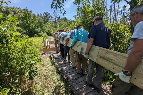 A group of volunteers carry a large plank of wood.