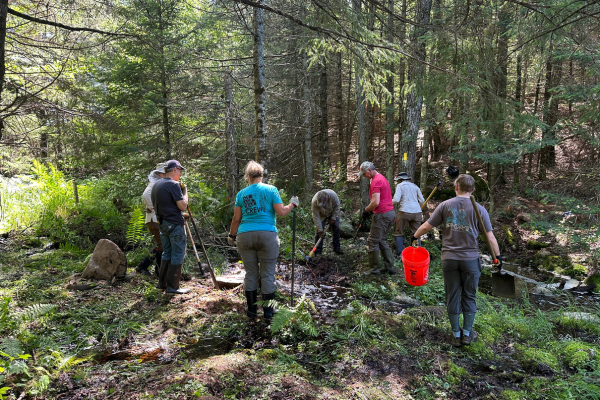 The Langlade County Maintenance Sweep saw 44 volunteers who donated 1,143 service hours, plus received assistance from 6 WisCorps members. Photo by Lisa Szela.