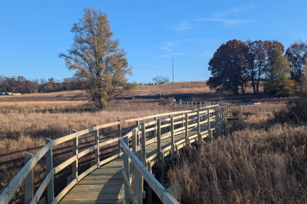 Ice Age Trail Alliance, Ice Age National Scenic Trail, Muir Preserve, Marquette County