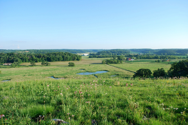 Ice Age Trail Alliance, Ice Age National Scenic Trail, Swamplovers Preserve, Table Bluff, Wetlands, Vista