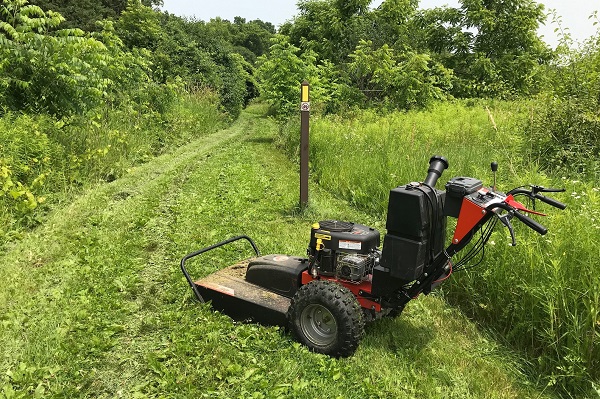 A freshly mowed Trail awaits the eager hikers. Photo by Brian Bednarek.