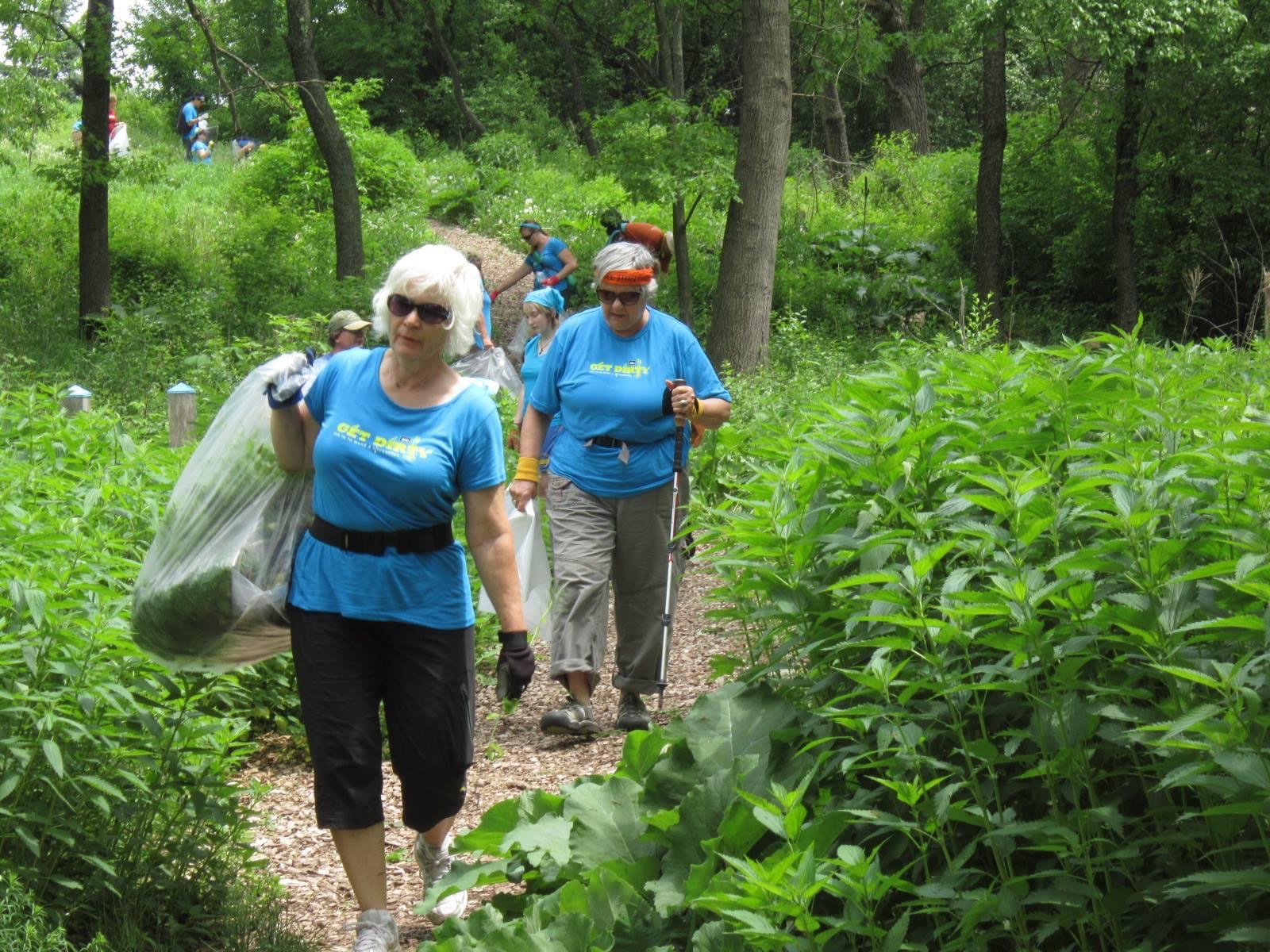 Volunteers clear invasive plants at the Hartland Marsh Loop Trail.
