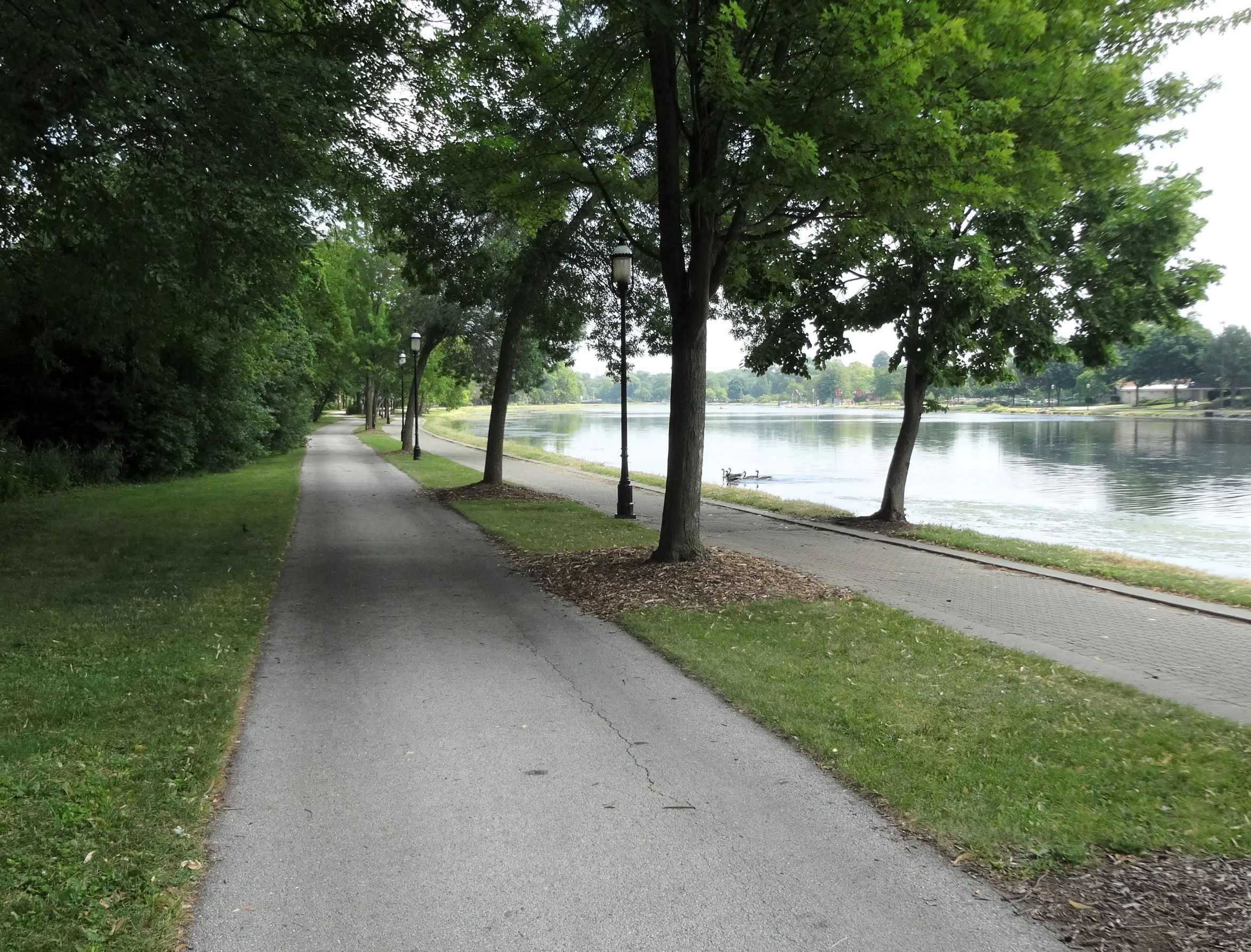 a tranquil view of the Fox River from the trailin Frame Park