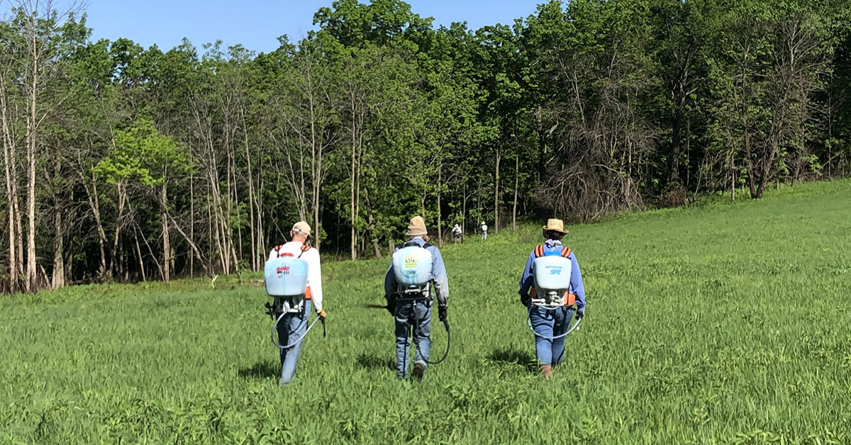 Ice Age Trail Alliance, Ice Age National Scenic Trail, Dane County Chapter, Garlic Mustard Spraying