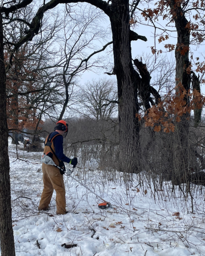 A person in protective gear uses a string trimmer to cut brush.