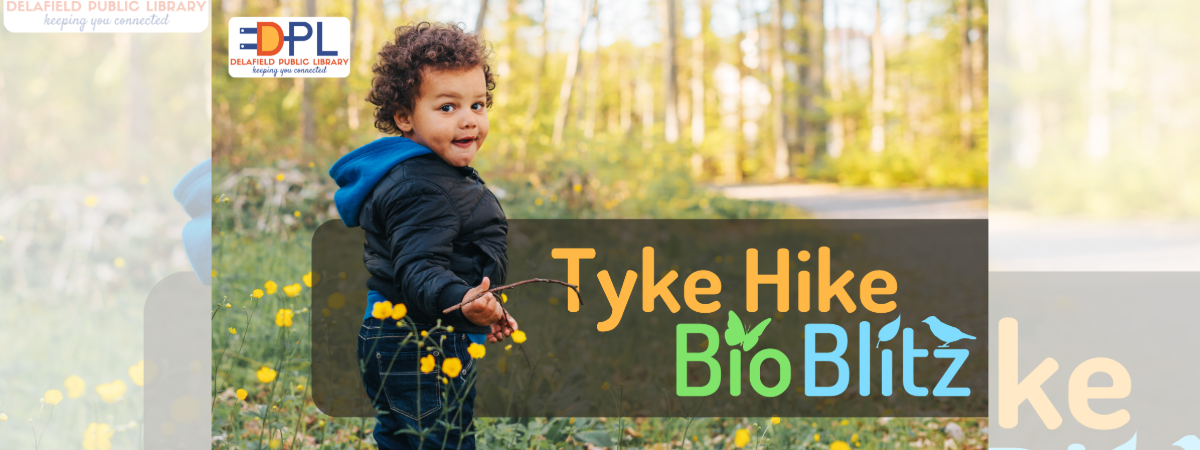 A young child poses in front of trees changing to beautiful golden autumn colors.