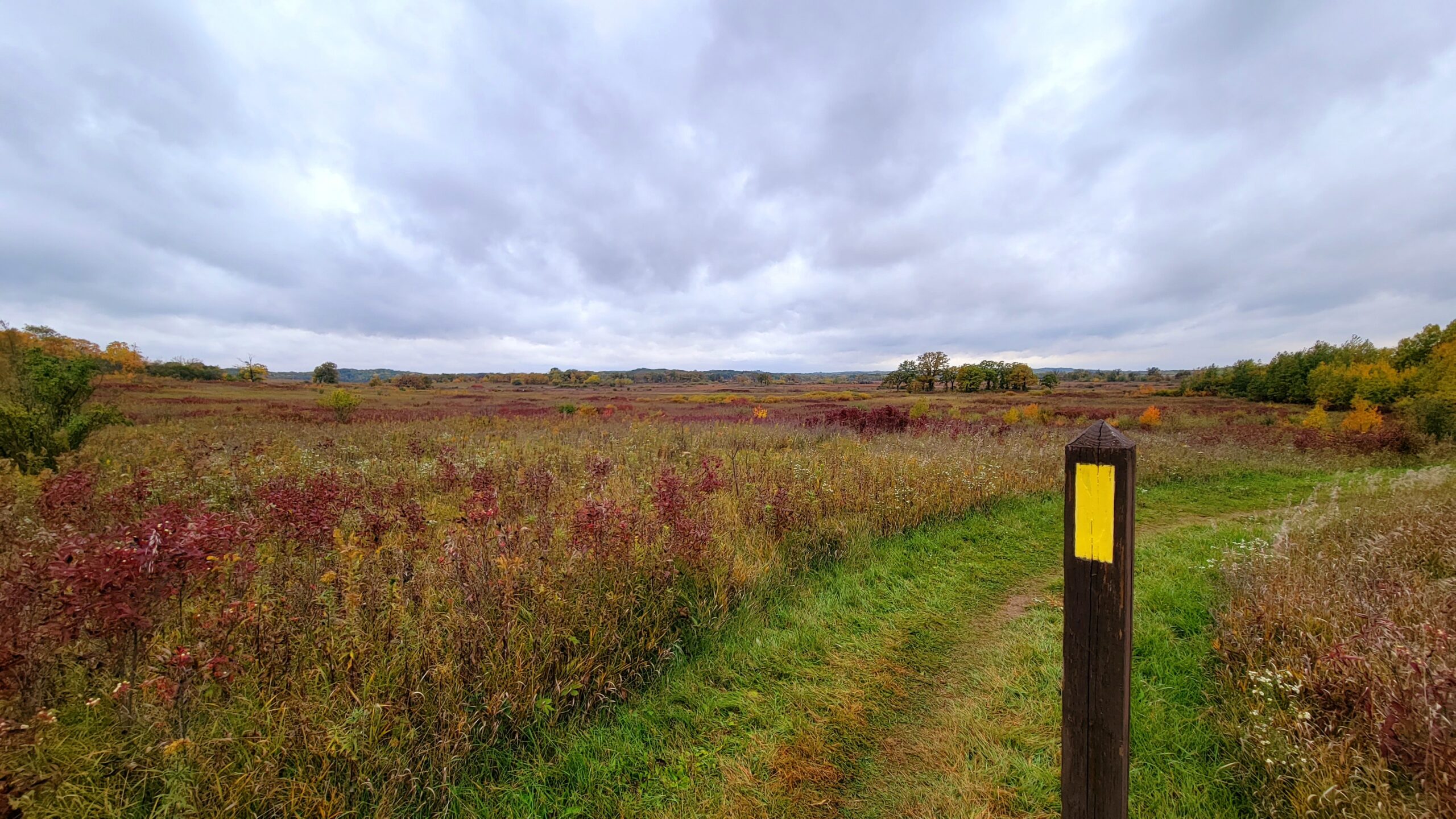 Bright colors of fall are popping despite gray, overcast skies.