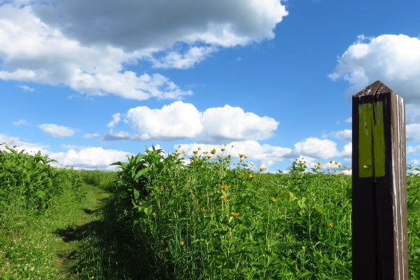 Ice Age Trail Alliance, Ice Age National Scenic Trail, Land management, land protection, IATA owned property