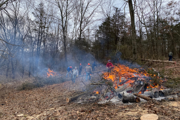 A burning brush pile stands at the forefront while volunteers work in the back to cut invasive brush and add it to the fire.