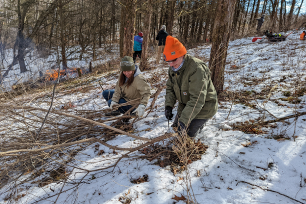 Claire got out into the field on her second day! As the ink was drying on her onboarding paper work, she was out at the habitat management event at Steenbock Preserve, breaking in her hand saw and meeting volunteers. Photo by Justine Kapitzke.