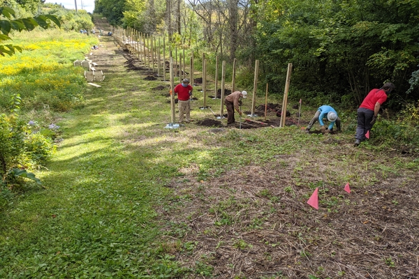 Ice Age Trail Alliance, Ice Age National Scenic Trail, Southern Kewaskum Segment, Boardwalk, Trailbuilding, MSC, Mobile Skills Crew