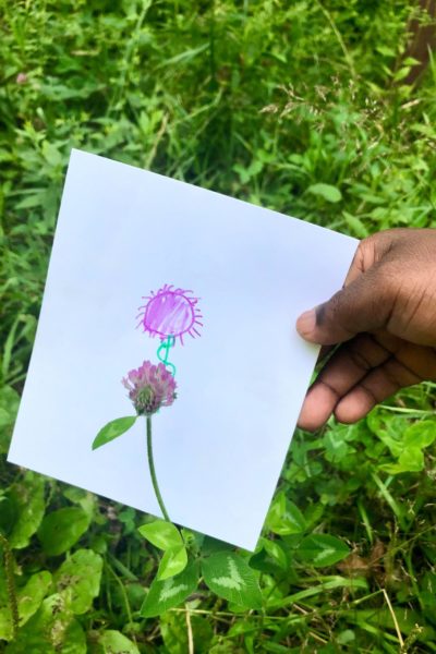 Ice Age Trail Alliance, Ice Age National Scenic Trail, Kennedy Heights, Cross Plains, Clover