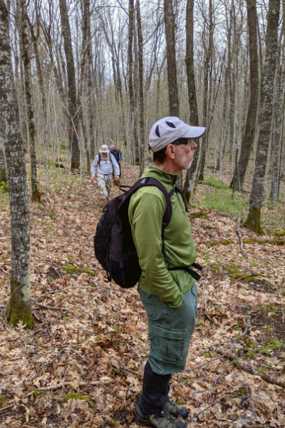 An image of a man hiking in the woods. He stares off to the right in momentary pause.