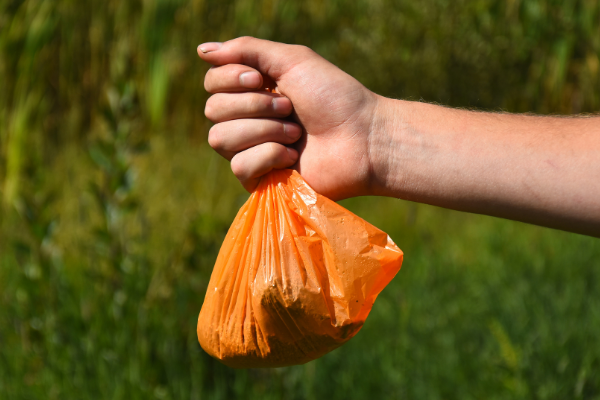 Dog poop bag. Image courtesy of Getty Images. - Ice Age Trail Alliance