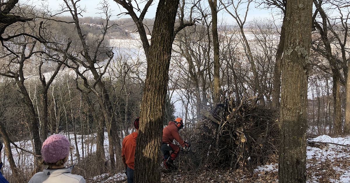 Ice Age Trail Alliance, Ice Age National Scenic Trail, Dane County Chapter, Winter Workday